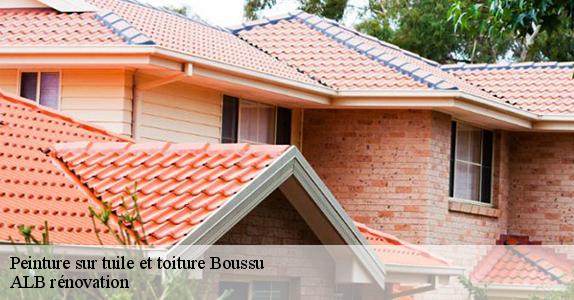 Peinture sur tuile et toiture  boussu-7300 ALB rénovation