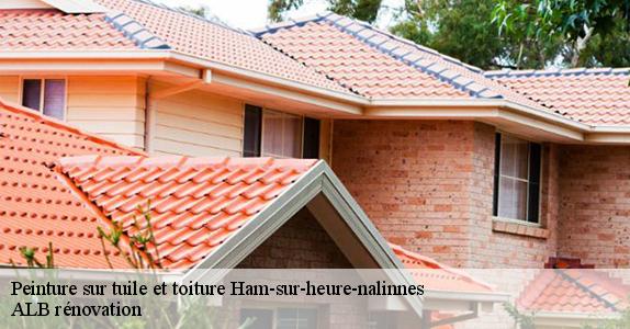 Peinture sur tuile et toiture  ham-sur-heure-nalinnes-6120 ALB rénovation