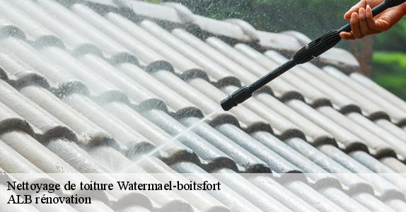 Nettoyage de toiture  watermael-boitsfort-1170 ALB rénovation