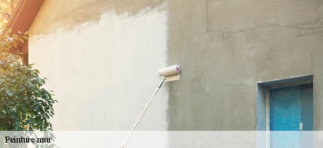 Peinture mur  7320